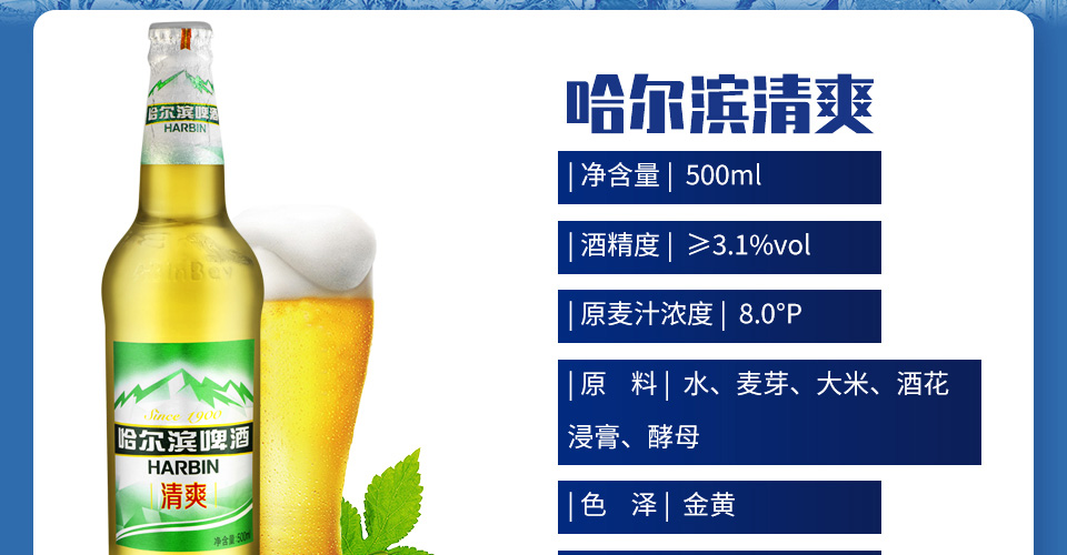 哈尔滨清爽啤酒8°瓶装500ml