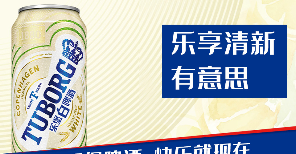 嘉士伯 乐堡白啤酒9.2°高听500ml