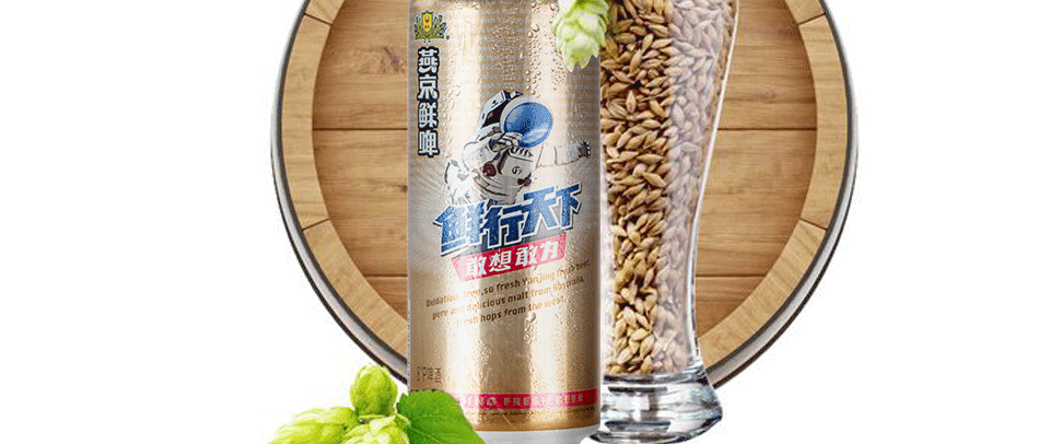 燕京 燕京鲜啤8°鲜行天下高听 500ml 1听